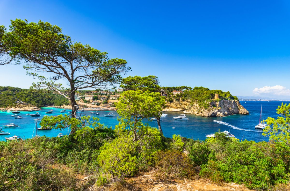mallorcai