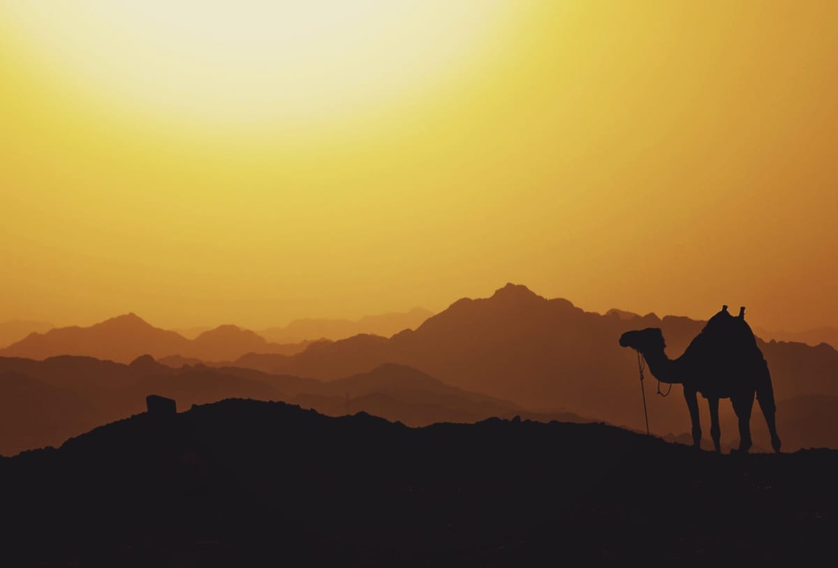 10 Egyiptom