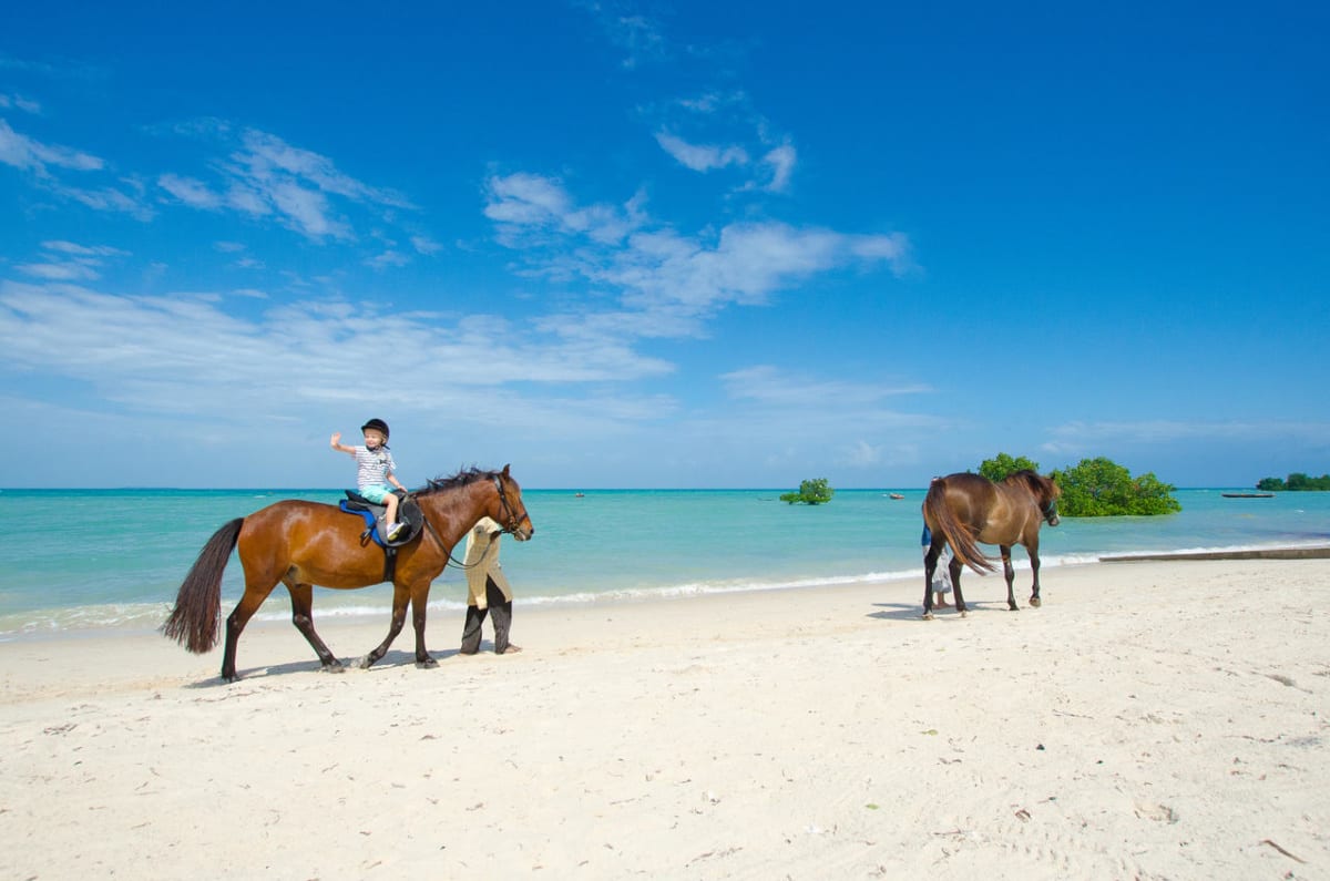 Utazás Zanzibáron